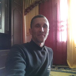 , 51 , 