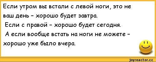 Кот поднялся на ноги размялся потянулся мельком оценил мой рисунок что то муркнул и вышел