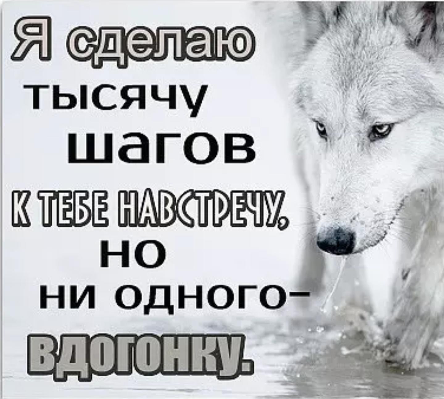 СТО шагов навстречу но ни одного