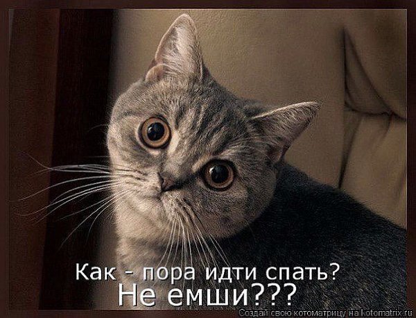 Новые красивые, быстро спать картинки прикольные