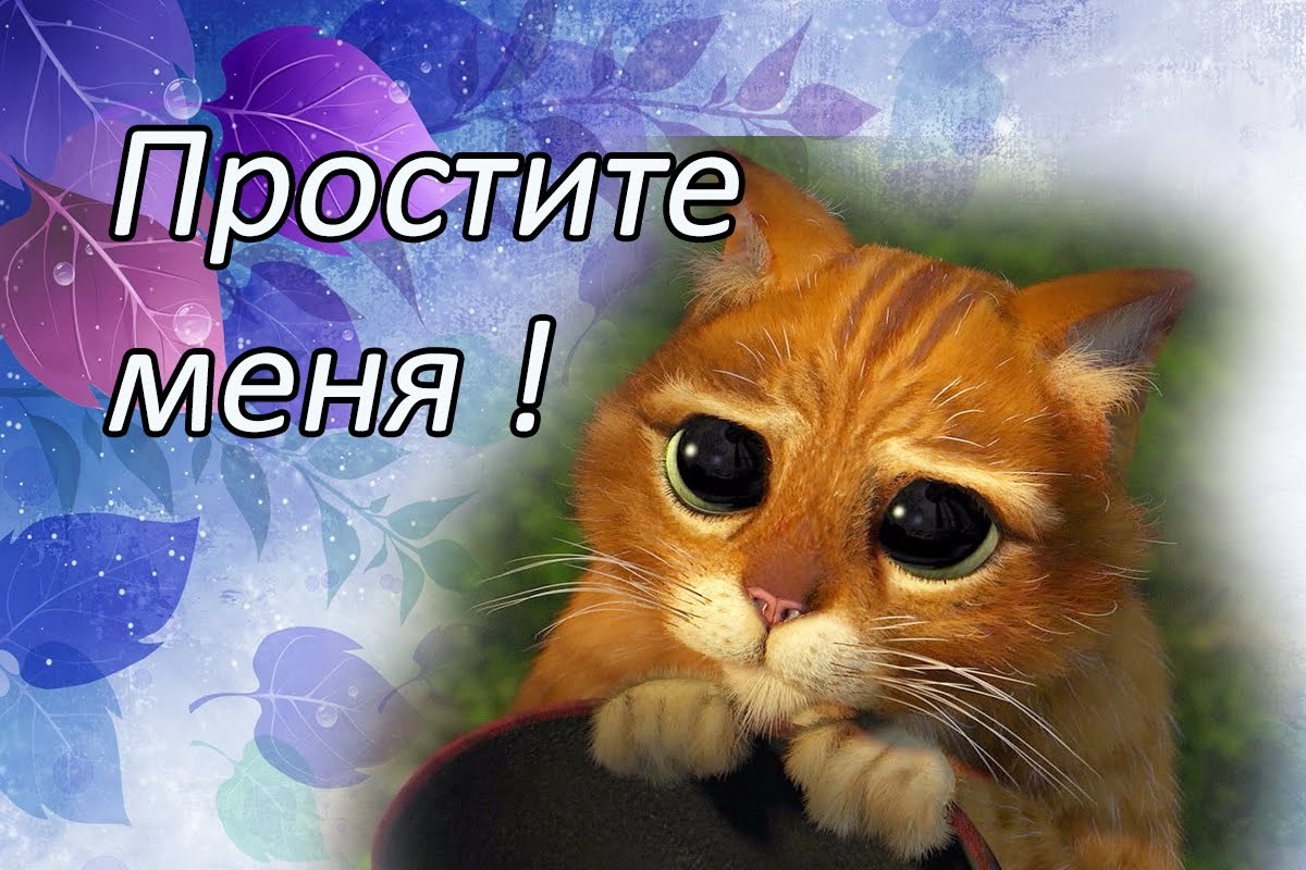 картинки с просьбой прости меня чтобы мягкой