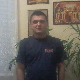 , 42 , 