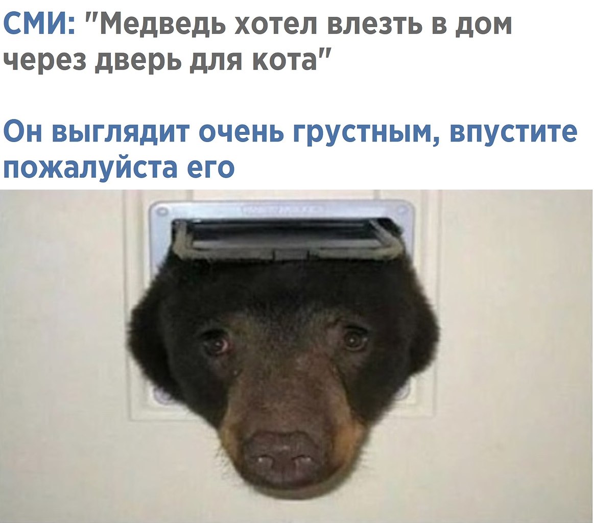 Я сосал меня мем - Best photos on africalease.org
