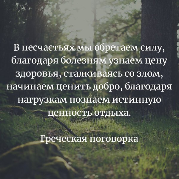 Благодаря силе. В несчастьях мы обретаем силу. В несчастьях мы обретаем силу благодаря болезням узнаем. Благодаря болезням узнаем цену. Благодаря болезни узнаем цену здоровье.