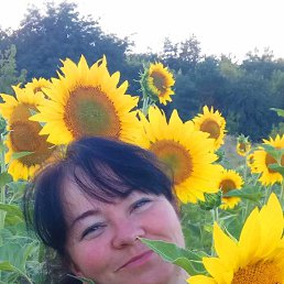 , 52 , 