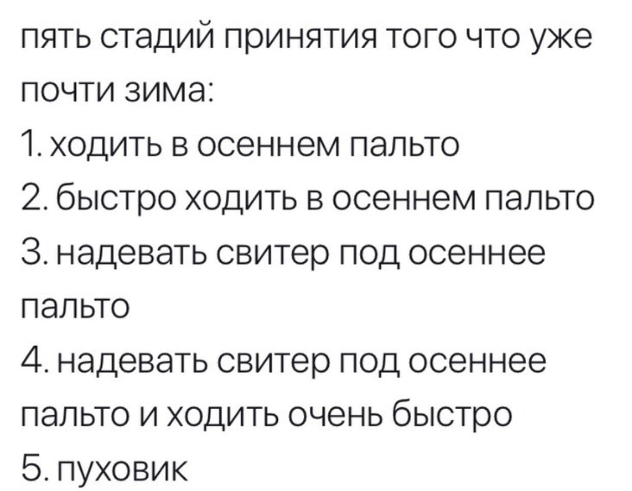 5 стадий. 5 Стадий принятия. Стадии принятия юмор. Пять стадий принятия того что уже почти зима. 5 Стадий принятия зимы.