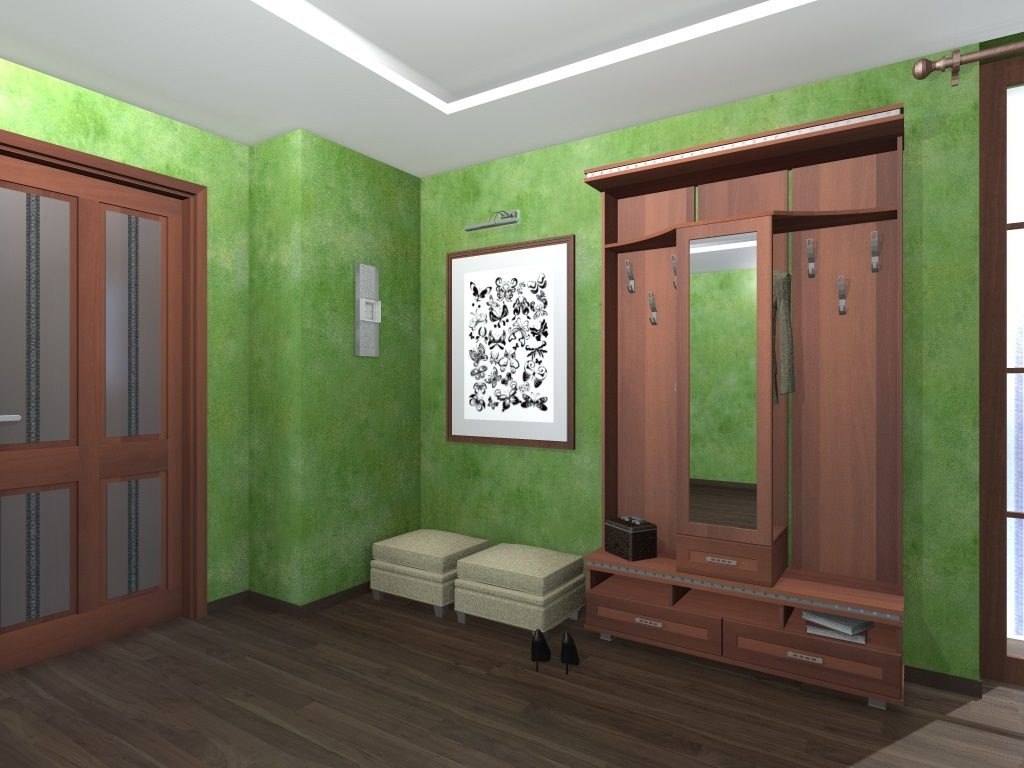 Зеленый шкаф в прихожую фото дизайн