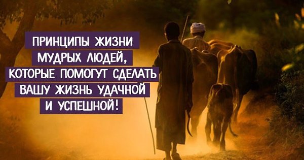Картинки принципы жизни с надписями, подруге