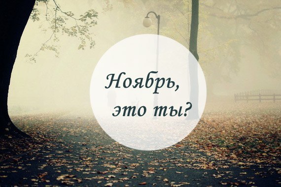 Смешные, открытки на носу ноябрь