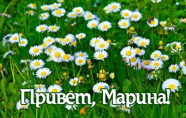 День пограничника, открытка привет мариночка