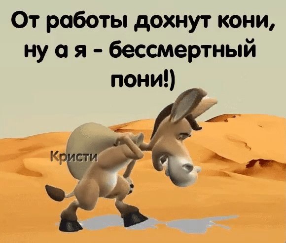 От работы кони дохнут смешные картинки, мужчине такой классный