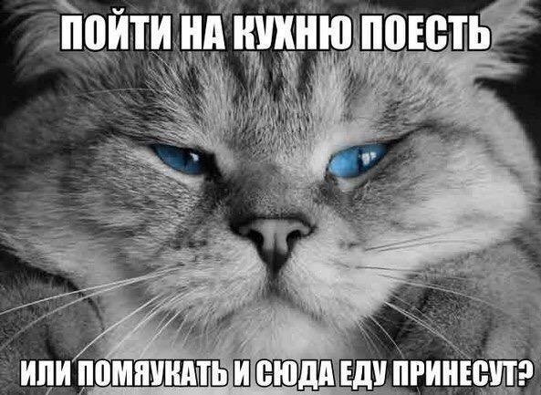 раньше четко почему не отвечаешь картинки прикольные фотоссесии могут