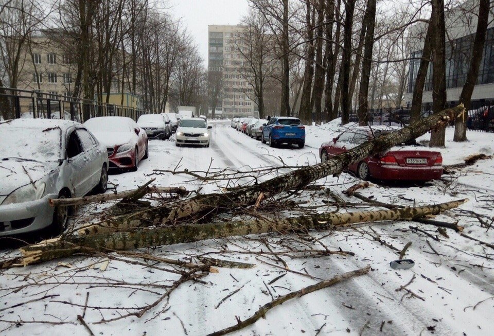 Сильный ветер в санкт петербурге