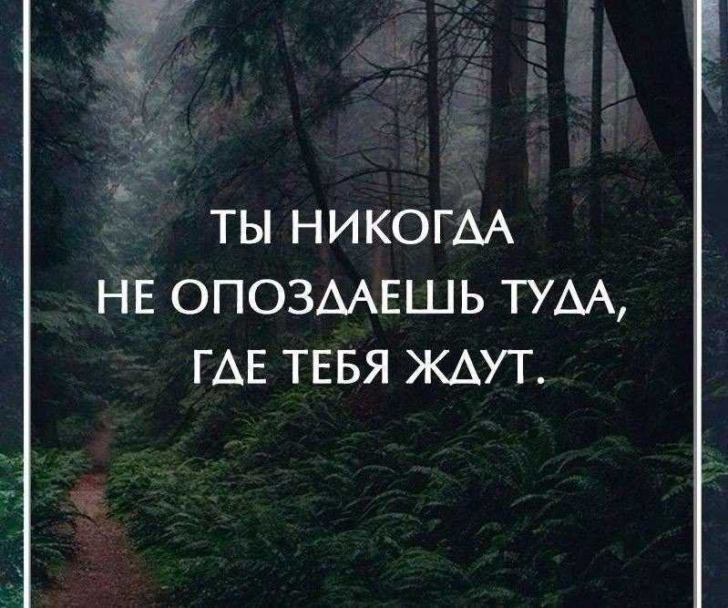 Торопись туда где тебя ждут. Торопитесь туда- где вас ждут. Спешить туда где. Уходить оттуда где тебе плохо. Торопитесь туда где вас ждут.