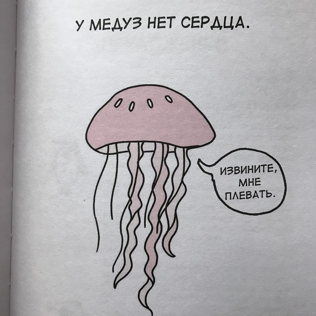 У медузы есть мозг