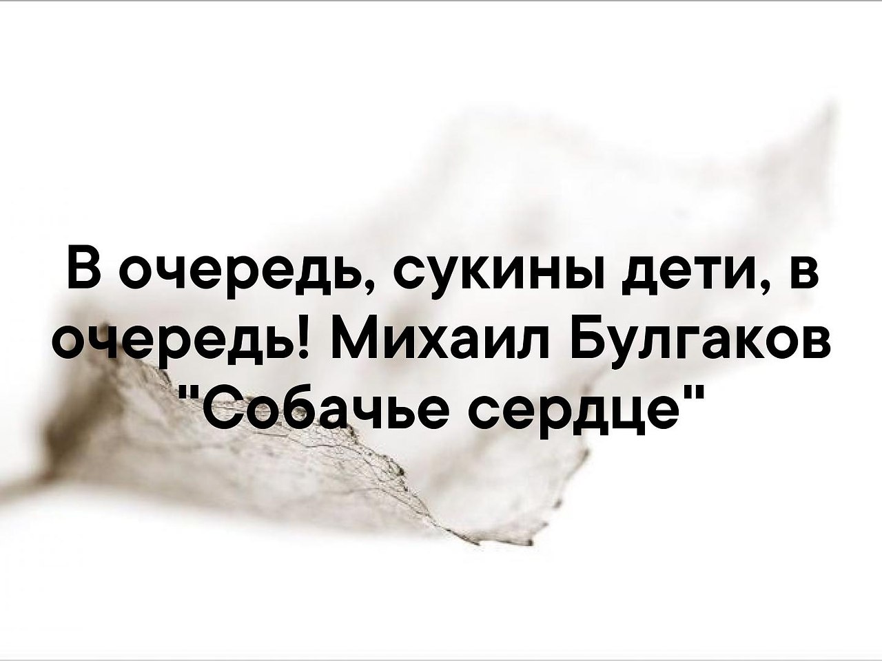 Картинка сукины дети