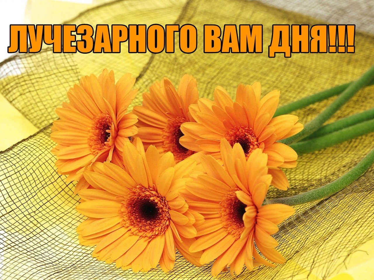 Картинка на каждый день