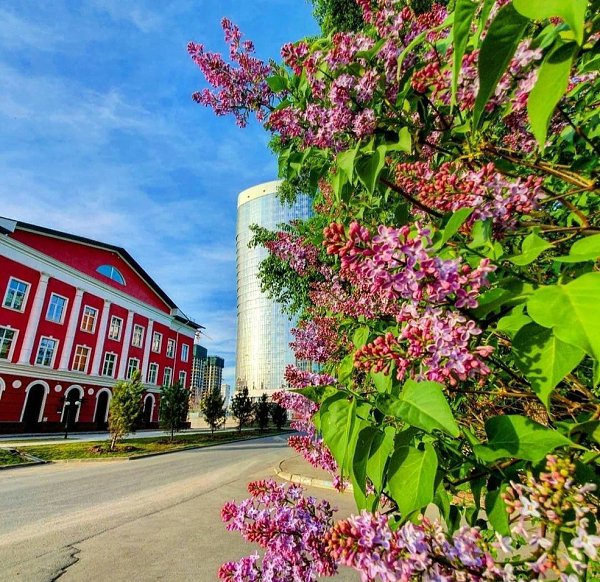 Фото Улица Цветет