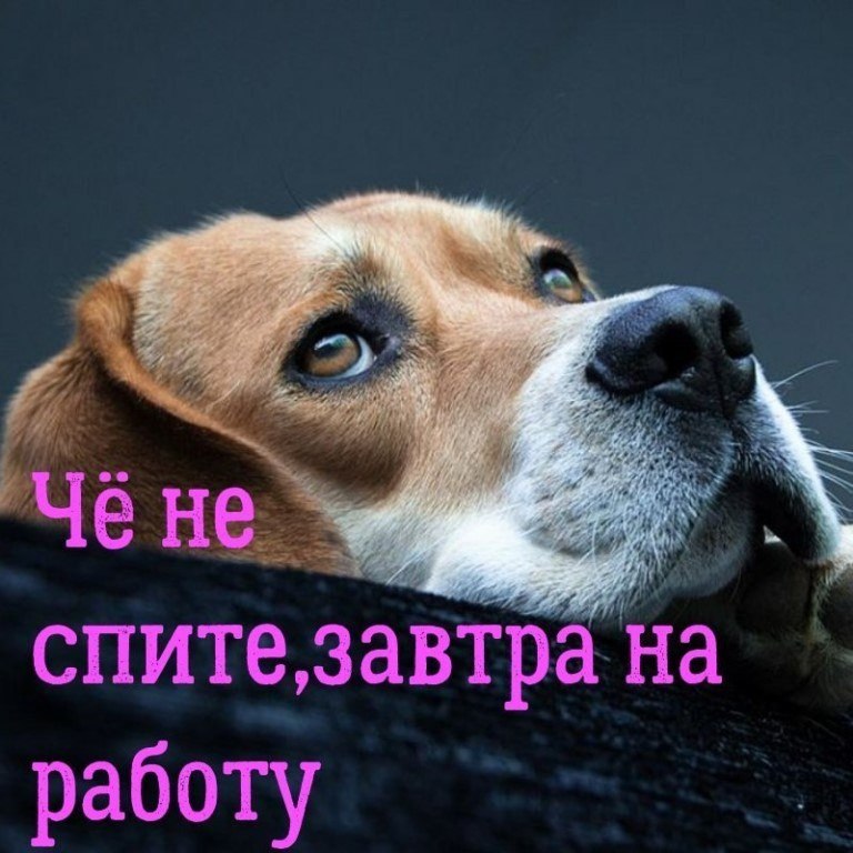 Открытки быстро спать завтра на работу, девушка
