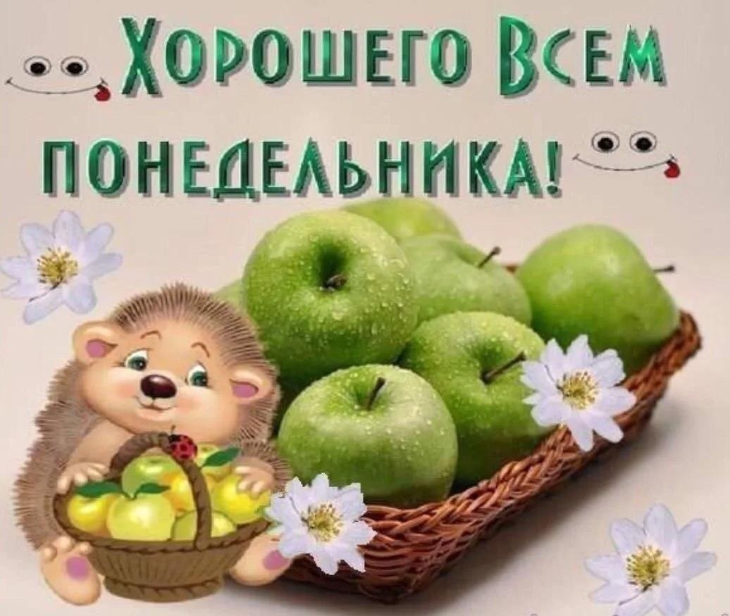 Картинки красивые, открытка понедельник день хороший