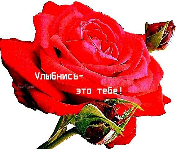 Просто так что бы ты улыбалась открытка