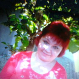 , 54 , 