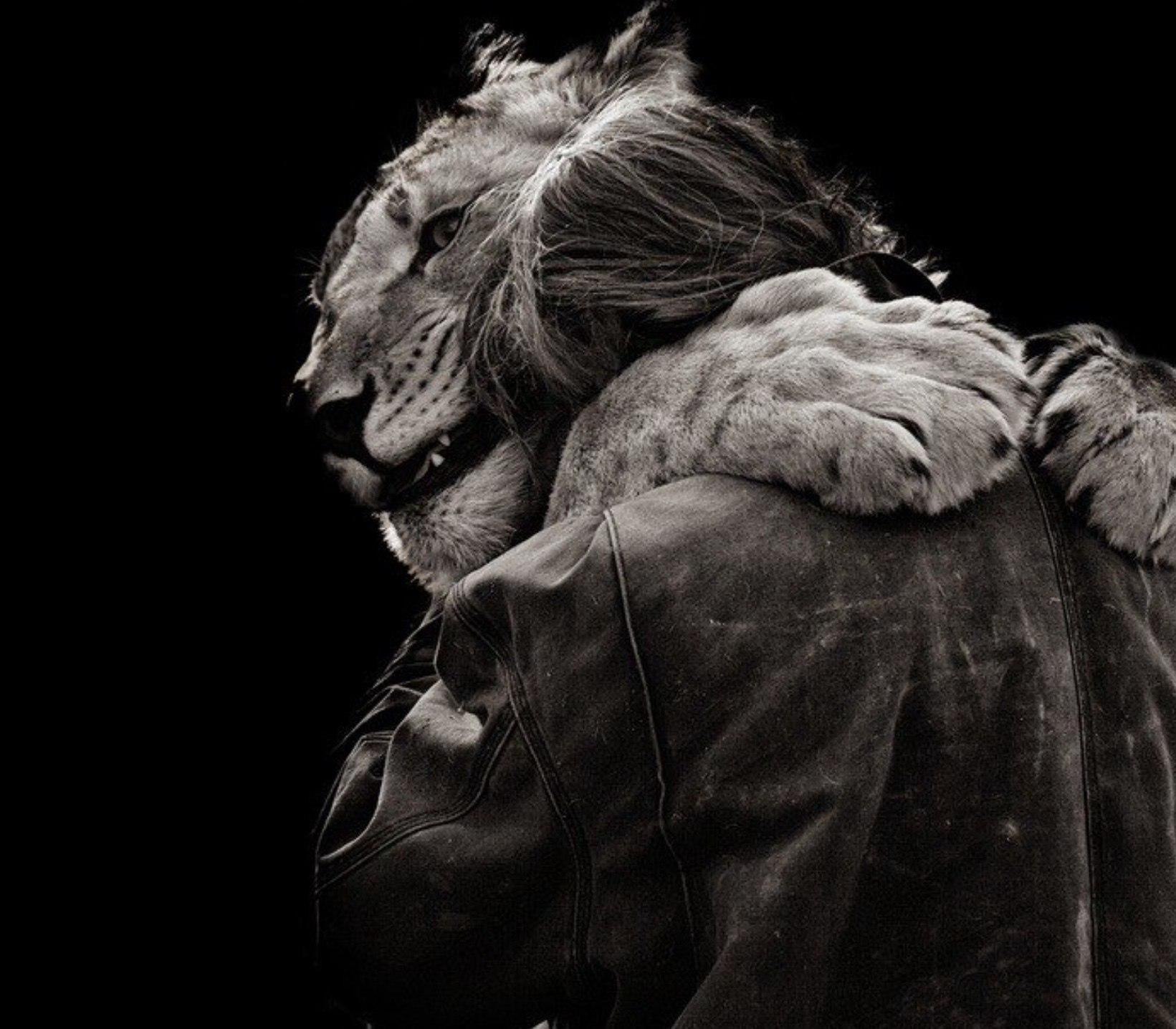 Lion hugging