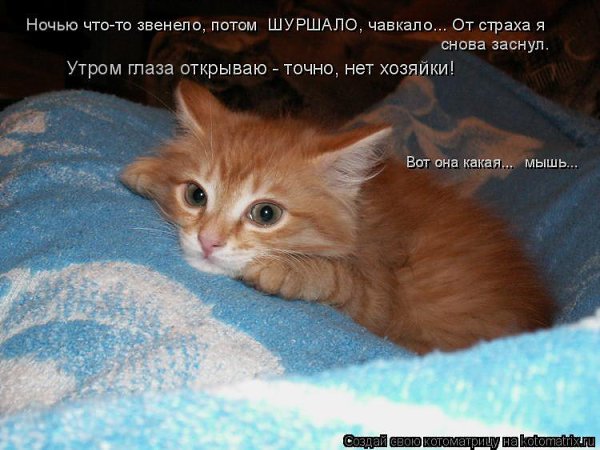 Фото Очень Жду