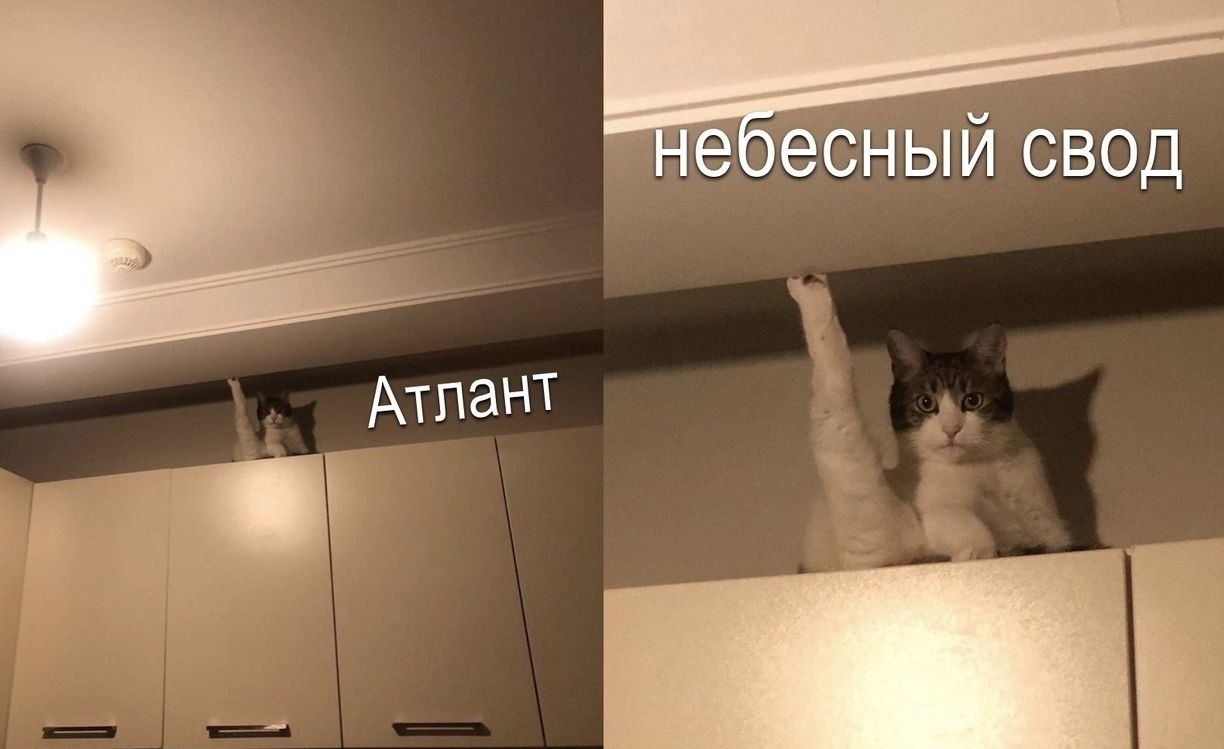 Кот в потолке Мем
