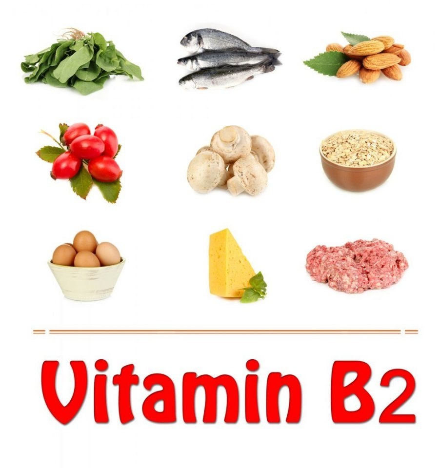 Содержится. Продукты - источники витамина в2. Б2 витамин продукты содержащие витамин. Продукты богатые витамином б2. Витамины группы b2.