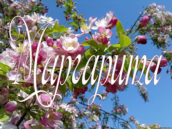 С Днем Рождения Улица Фото