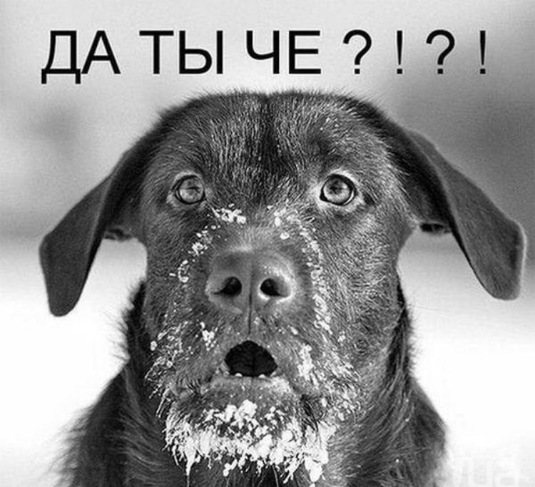 Есть Че Фото