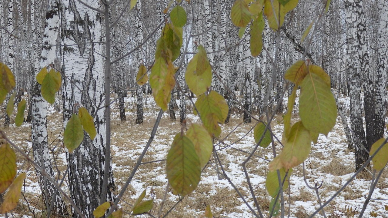 Фото краски жизни