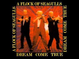 A flock of seagulls - Heartbeat like a drum. New Wave Rock.