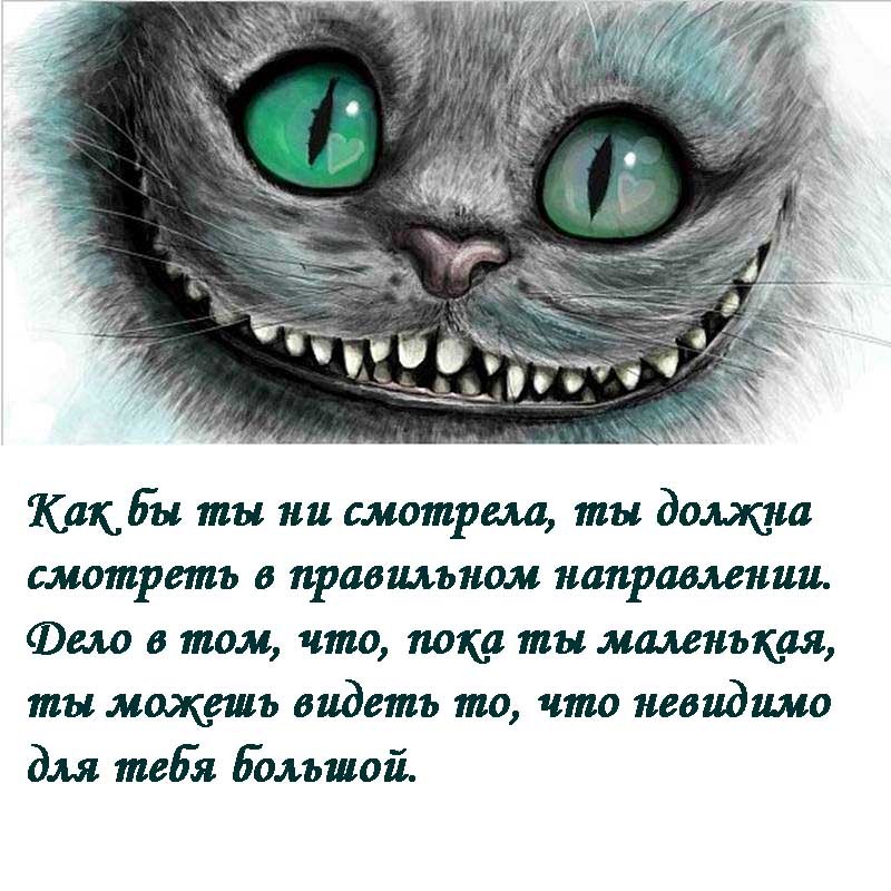 Как вызвать чеширского карта