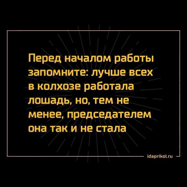 Больше всех в колхозе работала лошадь но председателем картинка