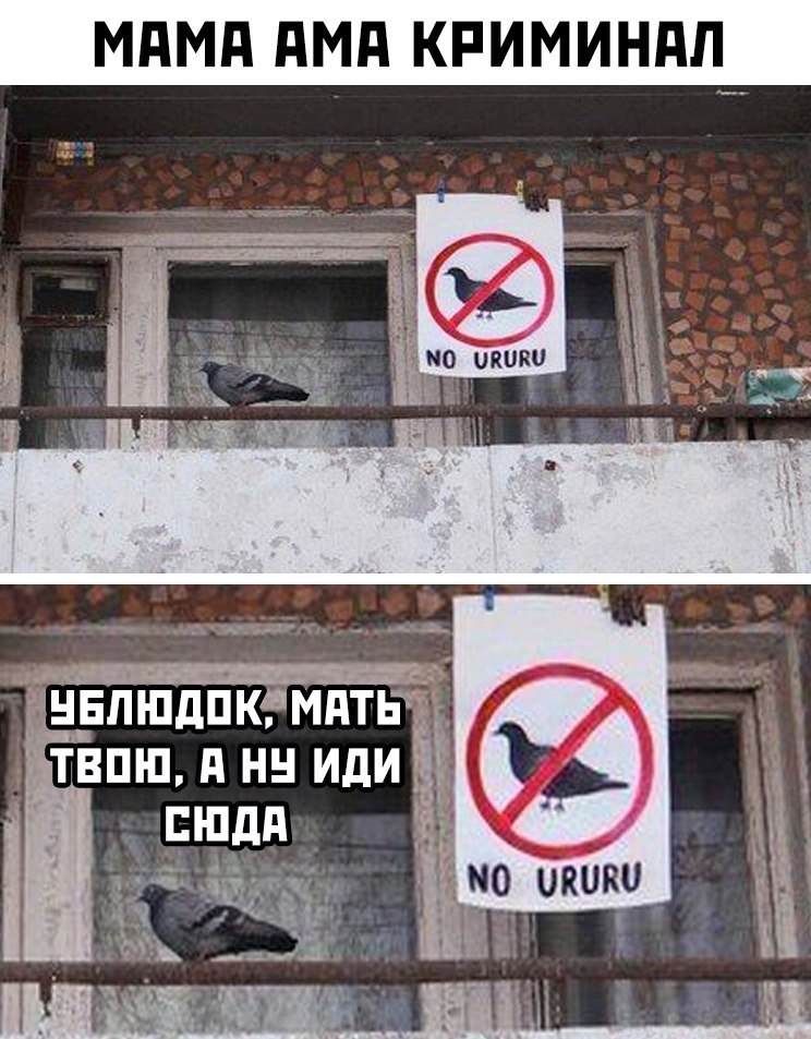 No ururu картинка