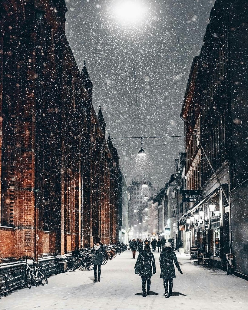 Зимняя Дания