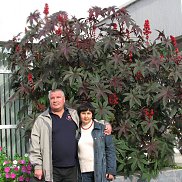 Евгений, 63 года, Комсомольское