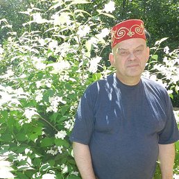Сергей, 64 года, Зеленогорск