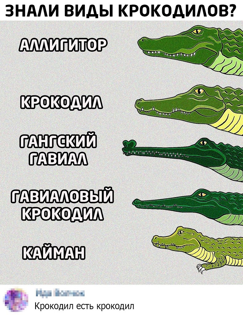 Подчеркни имена существительные крокодил зеленый африка аллигатор быстро передвигается