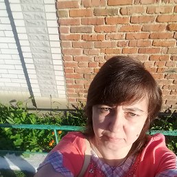 , 43 , 