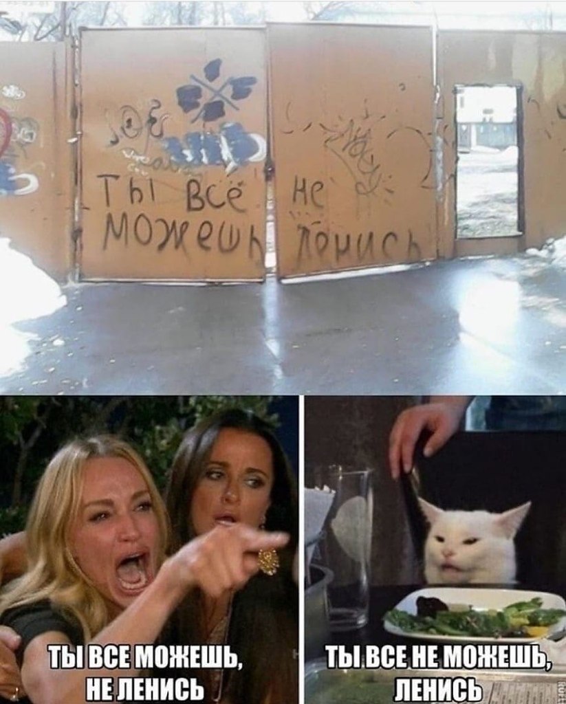 Мемы с котом и девушками с вывесками