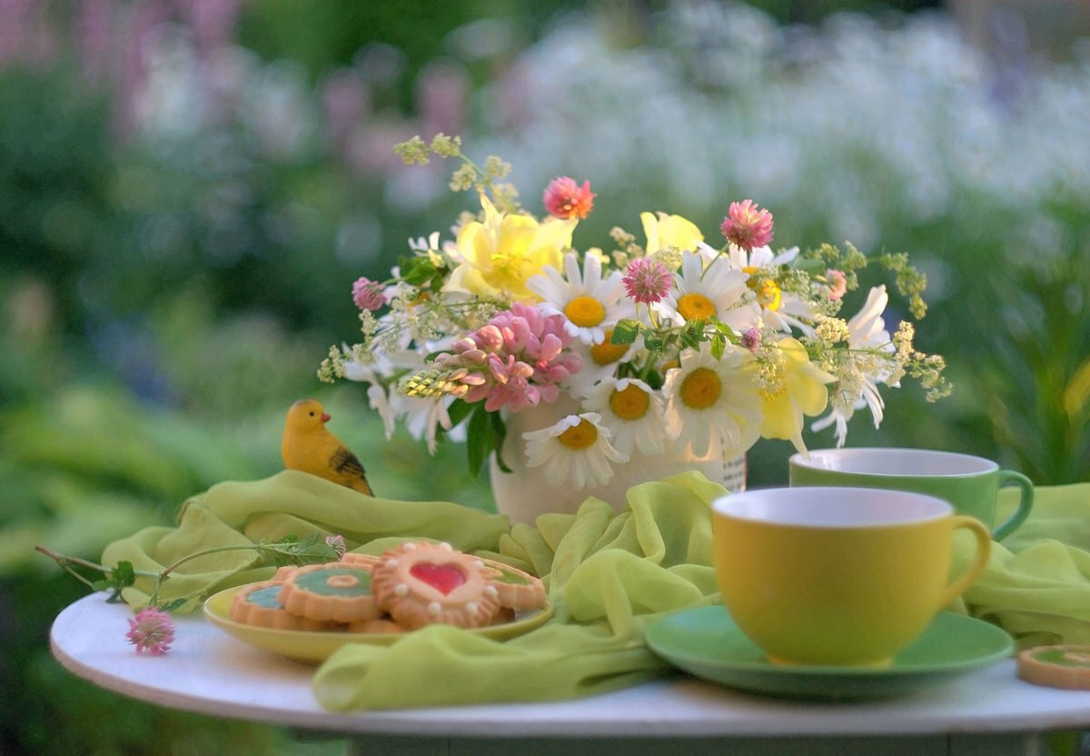 Утренние картинки. Утро лето. Завтрак с цветами. Красивое утро. Яркое утро.