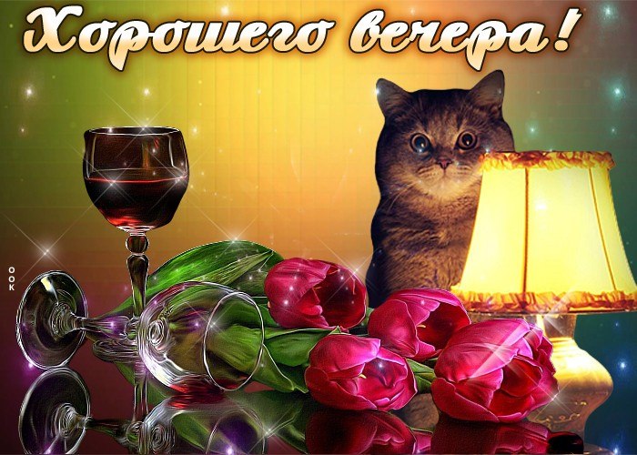 Добрый вечер хозяин. Хорошего вечера котики. Добрый вечер кот. Добрый вечер с котиками. Хорошего вечера котенок.