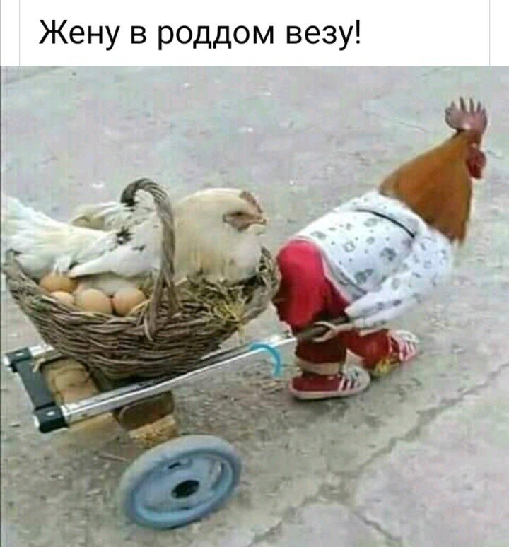 2909831499.jpg