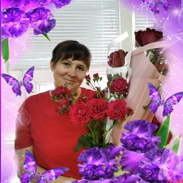 , 43 , 