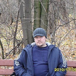 , 51 ,  