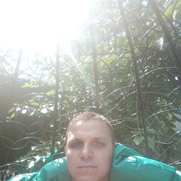 , 29 , 