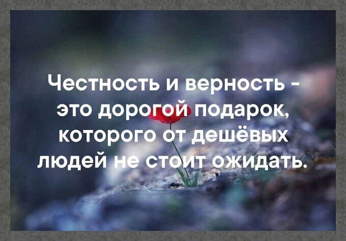 Честность и верность это дорогой подарок которого от дешевых людей не стоит ожидать картинка